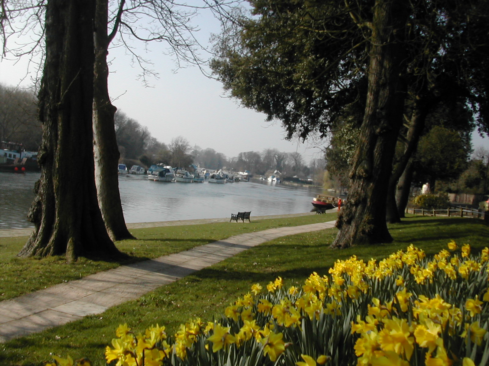 20th March 2009