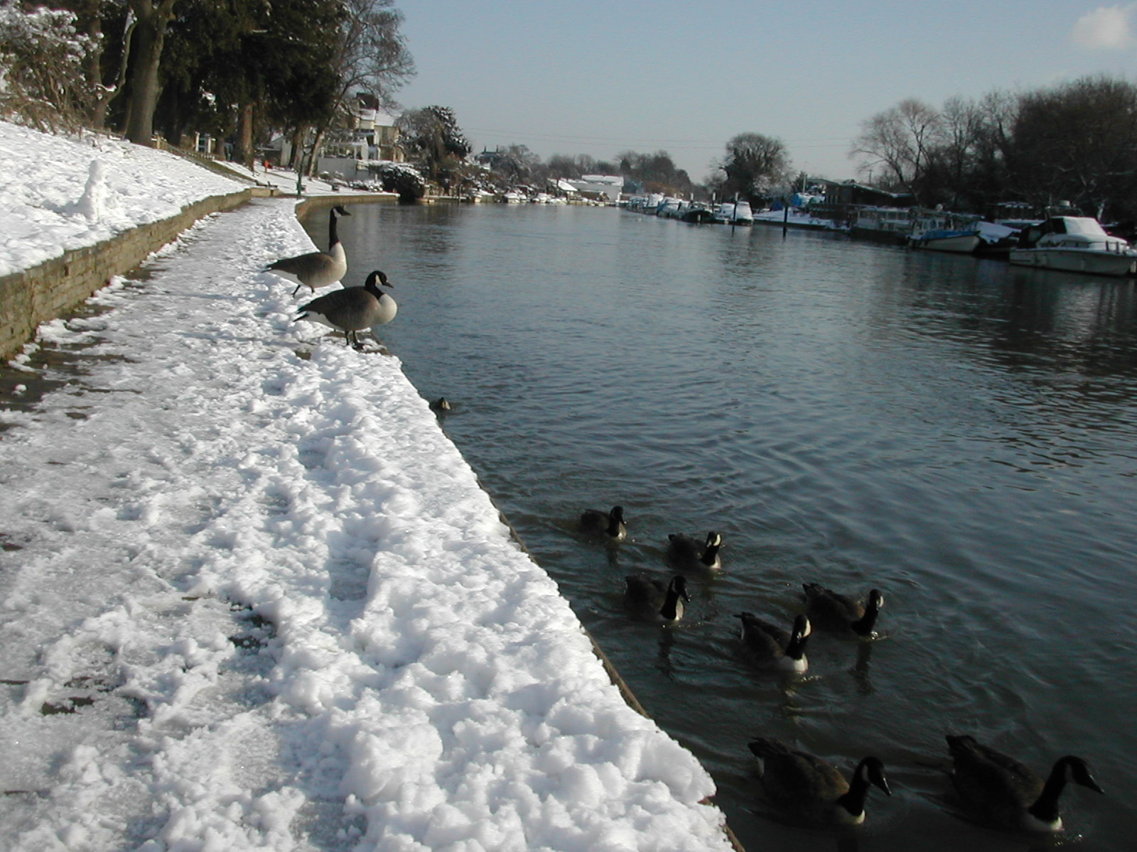 3rd February 2009